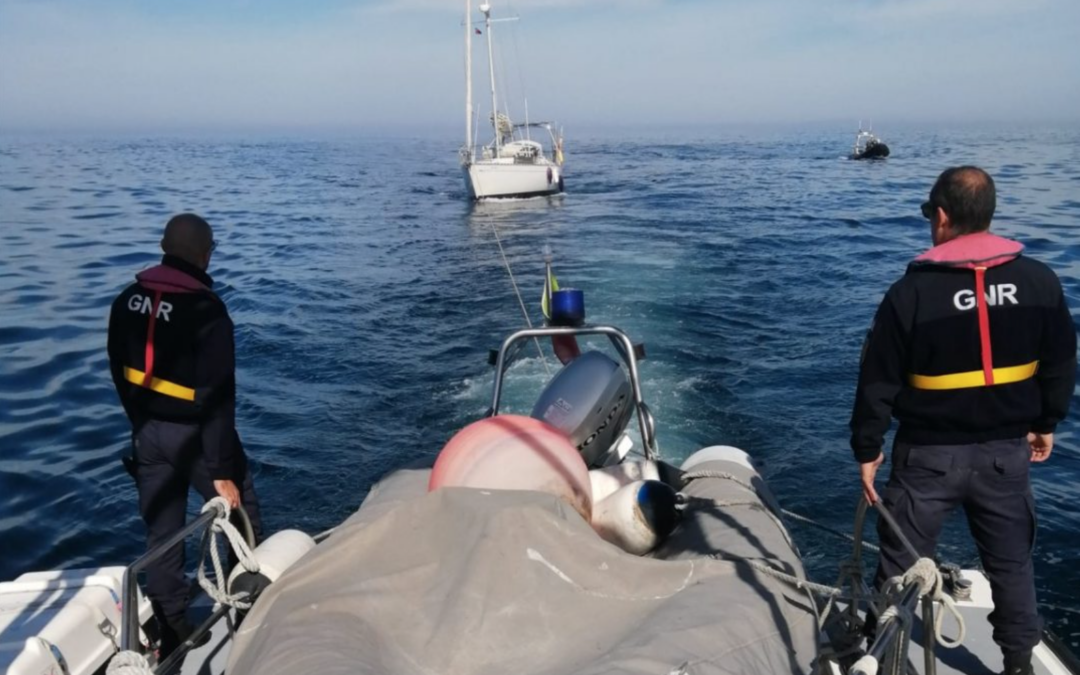 Orcas voltam a atacar um veleiro junto à Costa Portuguesa